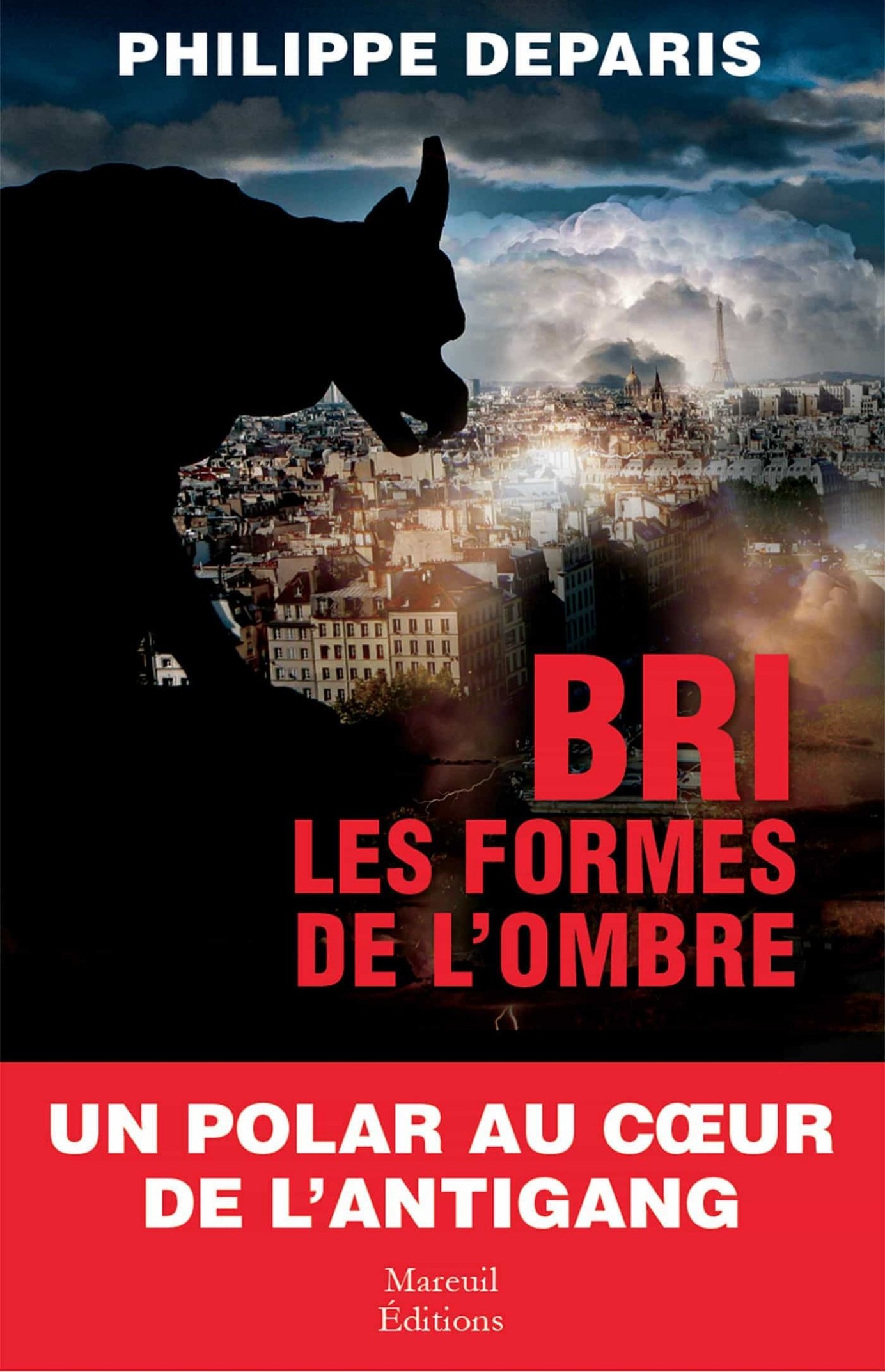 BRI - Les formes de l'Ombre